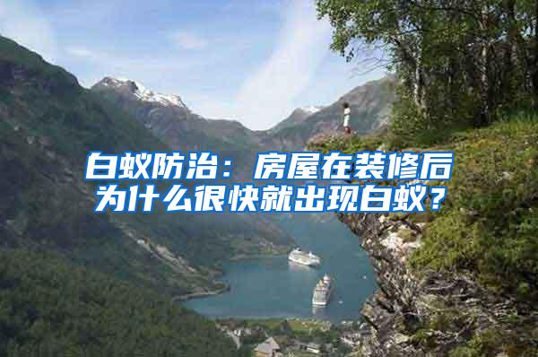 白蟻防治：房屋在裝修后為什么很快就出現白蟻？