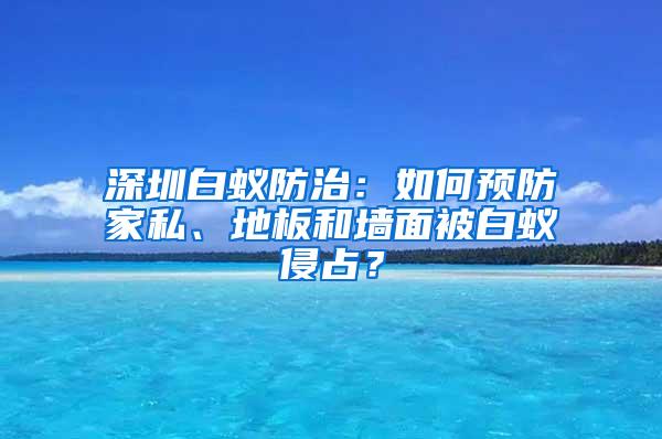 深圳白蟻防治：如何預(yù)防家私、地板和墻面被白蟻侵占？