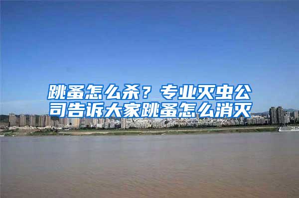 跳蚤怎么殺？專業滅蟲公司告訴大家跳蚤怎么消滅