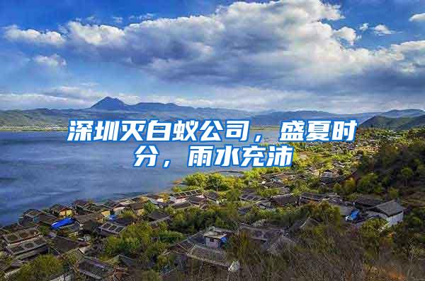 深圳滅白蟻公司，盛夏時分，雨水充沛