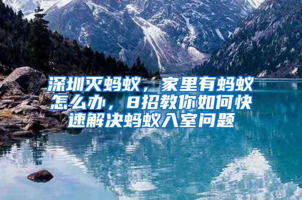 深圳滅螞蟻，家里有螞蟻怎么辦，8招教你如何快速解決螞蟻入室問題