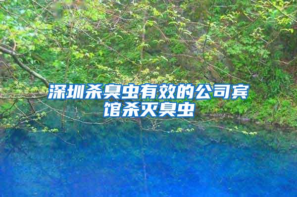 深圳殺臭蟲有效的公司賓館殺滅臭蟲