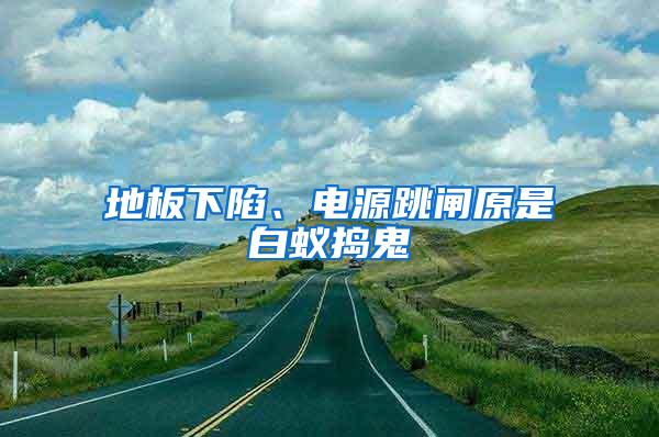 地板下陷、電源跳閘原是白蟻搗鬼