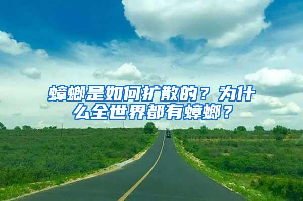 蟑螂是如何擴(kuò)散的？為什么全世界都有蟑螂？