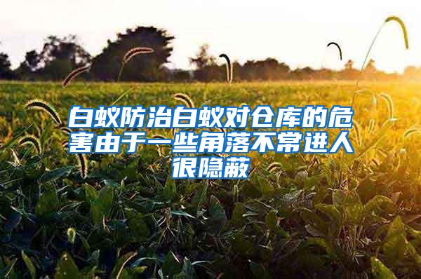 白蟻防治白蟻對倉庫的危害由于一些角落不常進人很隱蔽