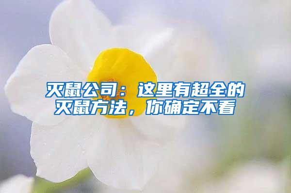 滅鼠公司：這里有超全的滅鼠方法，你確定不看