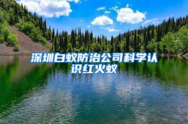 深圳白蟻防治公司科學認識紅火蟻