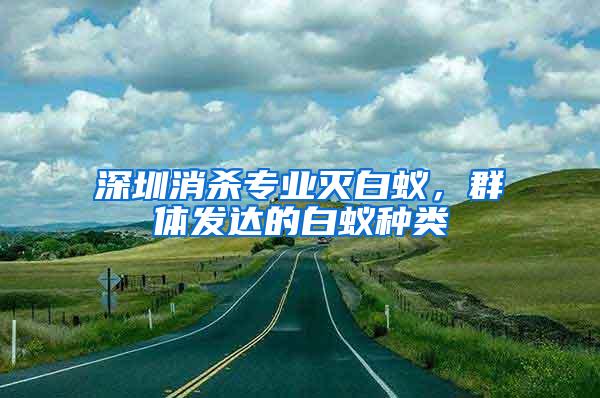 深圳消殺專業滅白蟻，群體發達的白蟻種類