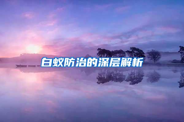 白蟻防治的深層解析