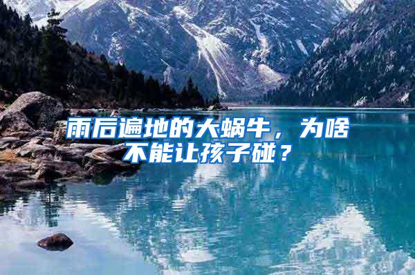 雨后遍地的大蝸牛，為啥不能讓孩子碰？