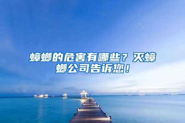 蟑螂的危害有哪些？滅蟑螂公司告訴您！