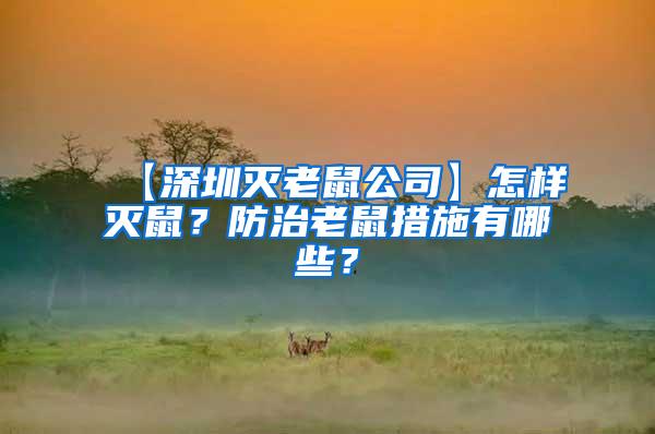 【深圳滅老鼠公司】怎樣滅鼠？防治老鼠措施有哪些？