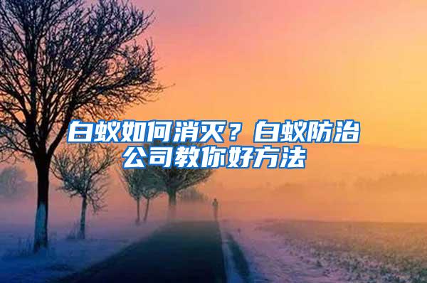 白蟻如何消滅？白蟻防治公司教你好方法