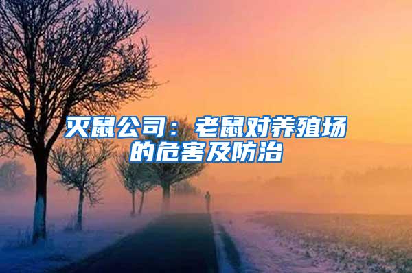 滅鼠公司：老鼠對養殖場的危害及防治