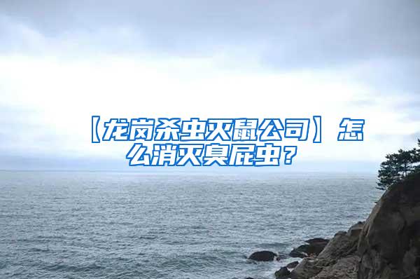 【龍崗殺蟲滅鼠公司】怎么消滅臭屁蟲？