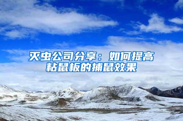 滅蟲公司分享：如何提高粘鼠板的捕鼠效果