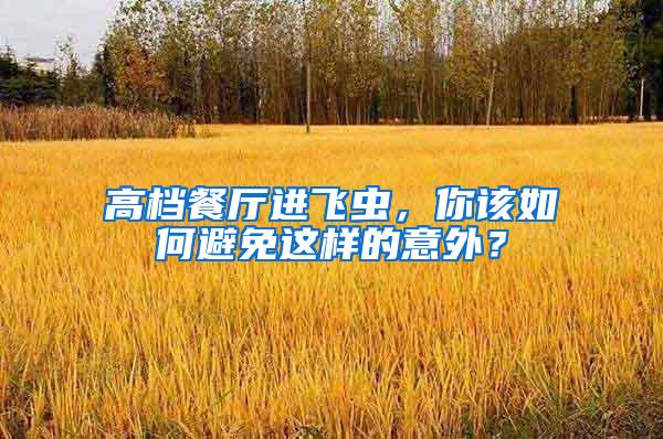 高檔餐廳進飛蟲，你該如何避免這樣的意外？