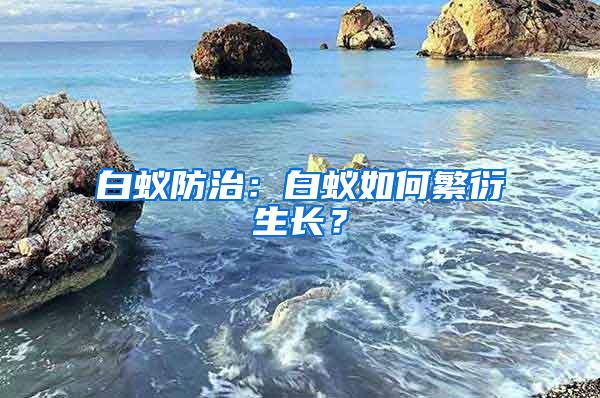 白蟻防治：白蟻如何繁衍生長？