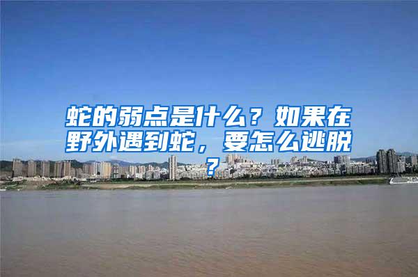 蛇的弱點(diǎn)是什么？如果在野外遇到蛇，要怎么逃脫？