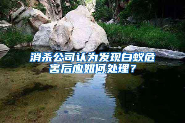 消殺公司認為發(fā)現白蟻危害后應如何處理？