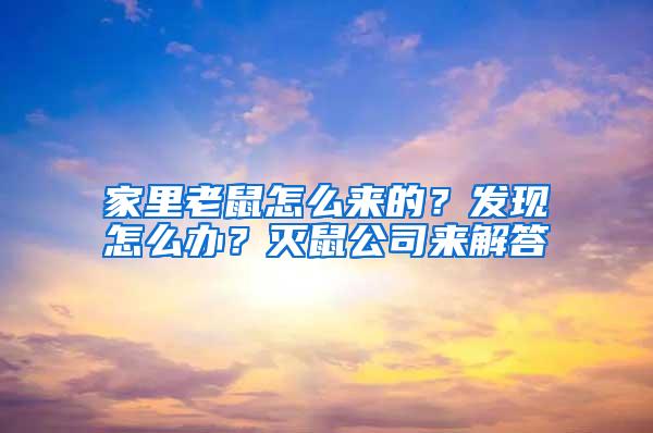 家里老鼠怎么來的？發(fā)現(xiàn)怎么辦？滅鼠公司來解答