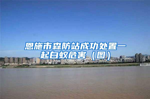 恩施市森防站成功處置一起白蟻危害（圖）