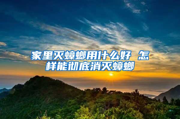 家里滅蟑螂用什么好 怎樣能徹底消滅蟑螂