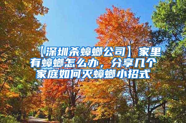 【深圳殺蟑螂公司】家里有蟑螂怎么辦，分享幾個家庭如何滅蟑螂小招式