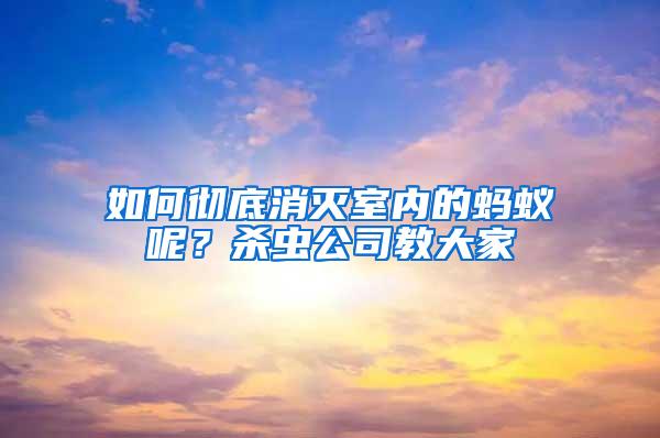 如何徹底消滅室內的螞蟻呢？殺蟲公司教大家