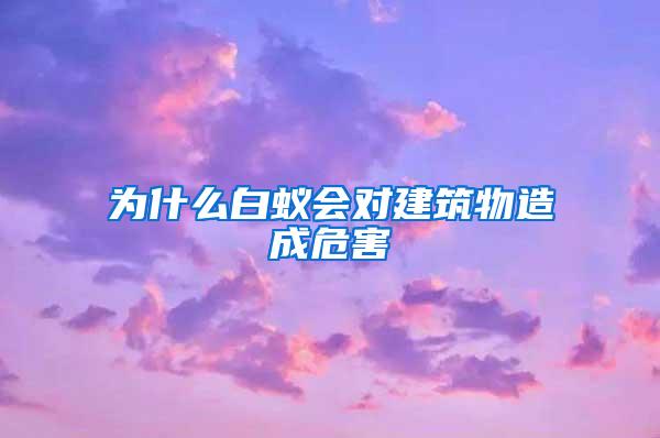 為什么白蟻會對建筑物造成危害