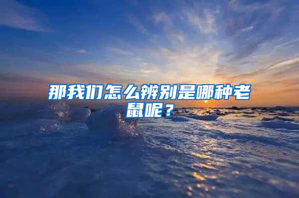 那我們怎么辨別是哪種老鼠呢？