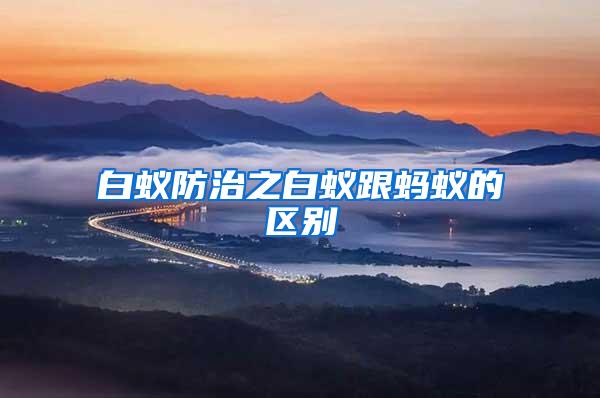 白蟻防治之白蟻跟螞蟻的區別