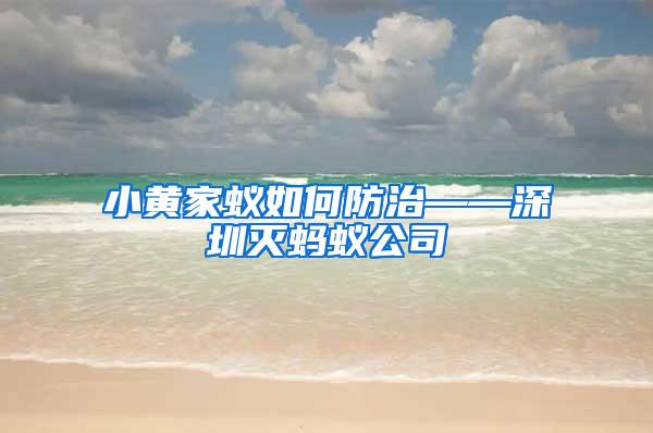 小黃家蟻如何防治——深圳滅螞蟻公司