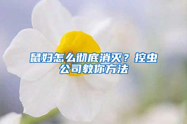 鼠婦怎么徹底消滅？控蟲公司教你方法