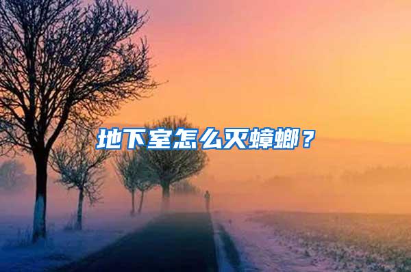 地下室怎么滅蟑螂？