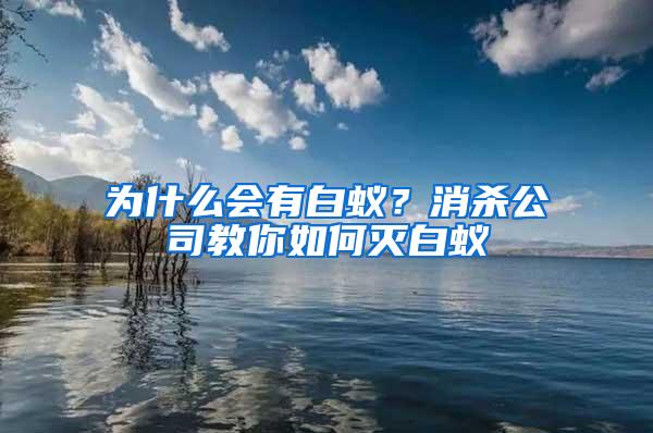 為什么會有白蟻？消殺公司教你如何滅白蟻