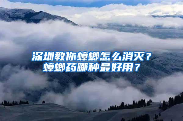 深圳教你蟑螂怎么消滅？蟑螂藥哪種最好用？