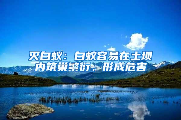 滅白蟻：白蟻容易在土壩內筑巢繁衍，形成危害