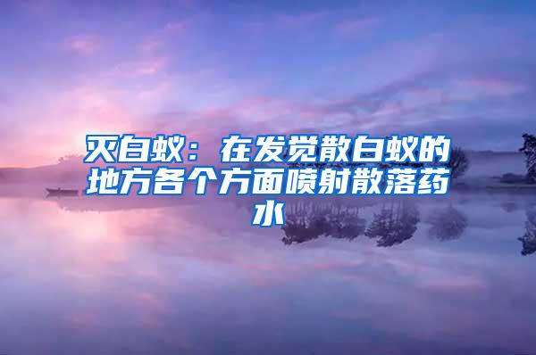 滅白蟻：在發覺散白蟻的地方各個方面噴射散落藥水