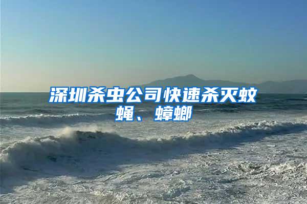 深圳殺蟲公司快速殺滅蚊蠅、蟑螂