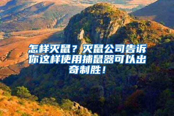 怎樣滅鼠？滅鼠公司告訴你這樣使用捕鼠器可以出奇制勝！