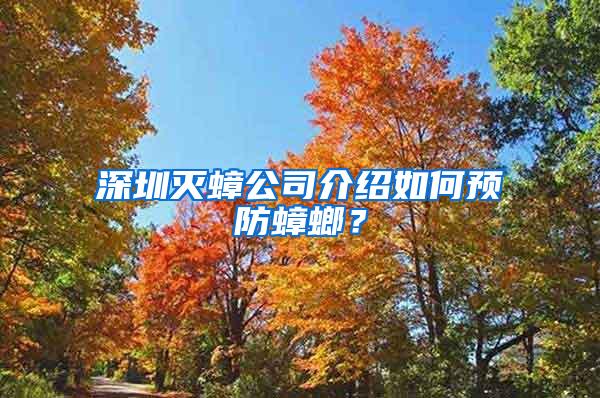 深圳滅蟑公司介紹如何預防蟑螂？