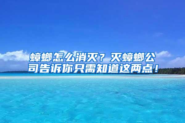 蟑螂怎么消滅？滅蟑螂公司告訴你只需知道這兩點！