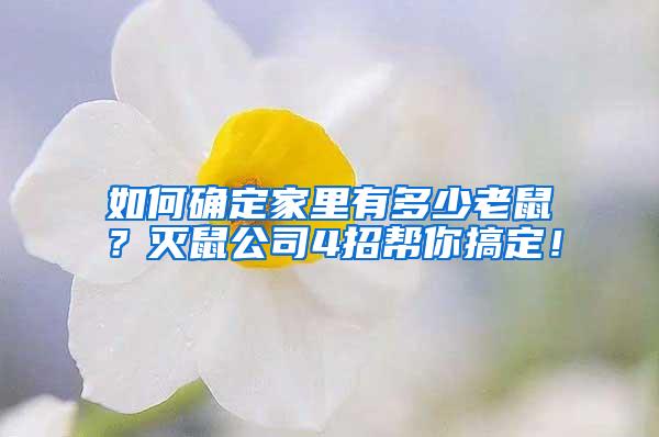 如何確定家里有多少老鼠？滅鼠公司4招幫你搞定！