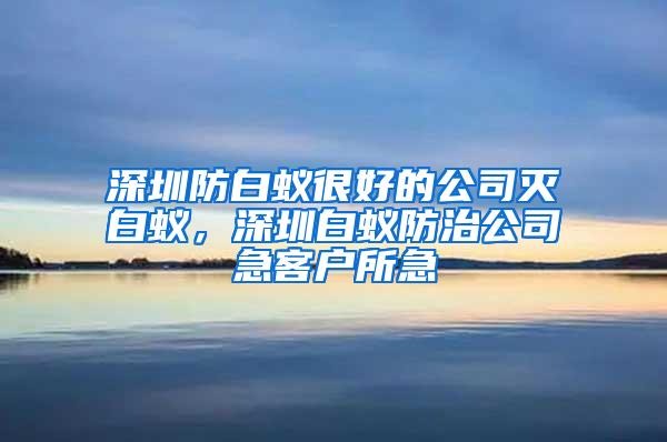 深圳防白蟻很好的公司滅白蟻，深圳白蟻防治公司急客戶所急