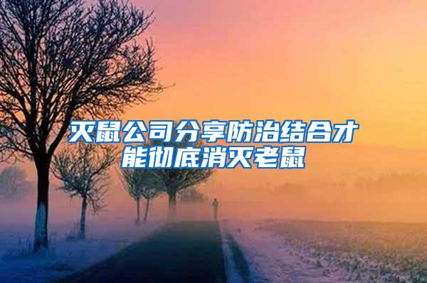 滅鼠公司分享防治結(jié)合才能徹底消滅老鼠