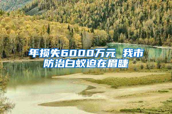 年損失6000萬元 我市防治白蟻迫在眉睫