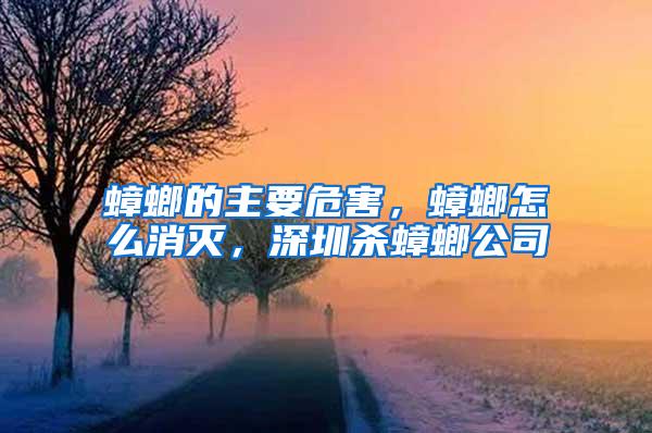 蟑螂的主要危害，蟑螂怎么消滅，深圳殺蟑螂公司