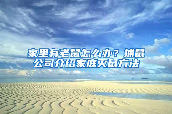 家里有老鼠怎么辦？捕鼠公司介紹家庭滅鼠方法