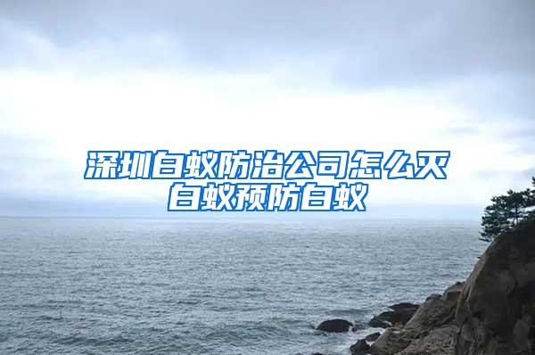 深圳白蟻防治公司怎么滅白蟻預(yù)防白蟻